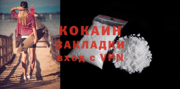 хмурый Белокуриха