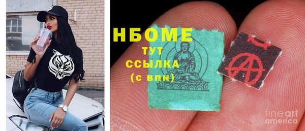 хмурый Белокуриха