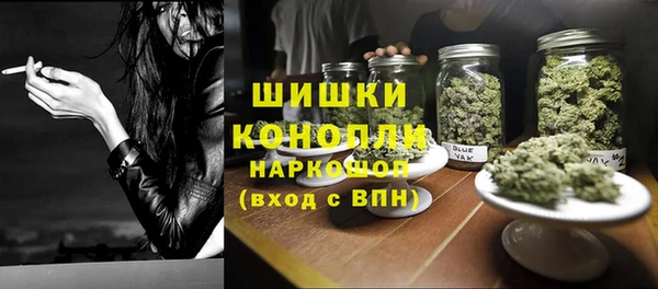 хмурый Белокуриха
