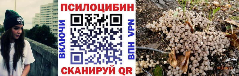 Псилоцибиновые грибы GOLDEN TEACHER  как найти закладки  Рязань 